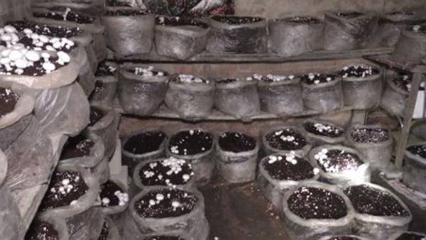 70 हजार से अधिक की आमदनी