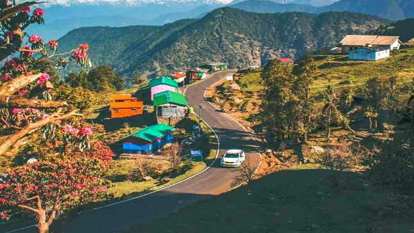 चोपता चोपता