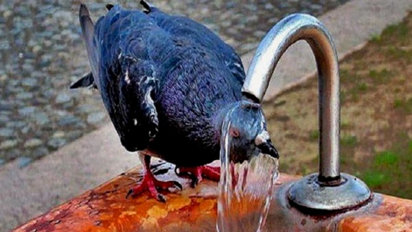 इन चार कारणों से पड़ती चूरू में गर्मी