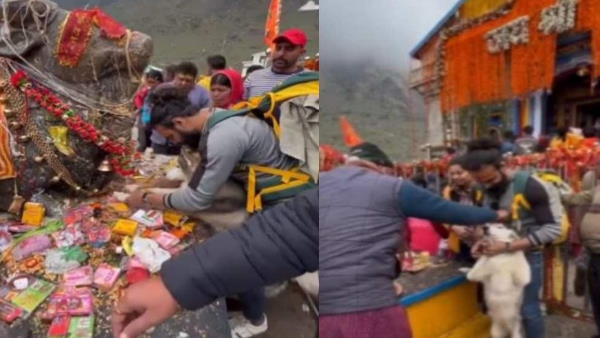 Video of Nandi touching the statue in Kedarnath with dogs paws went viral, temple committee took this action Video of Nandi touching the statue in Kedarnath with dogs paws went viral, temple committee took this action