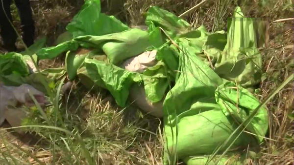 हमले की फिराक में JeM के आतंकी