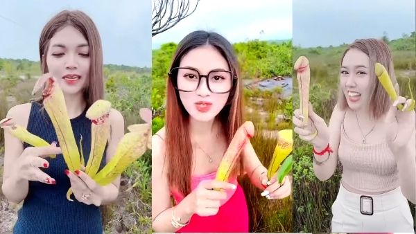 प्राकृतिक संसाधनों से करें प्यार प्राकृतिक संसाधनों से करें प्यार