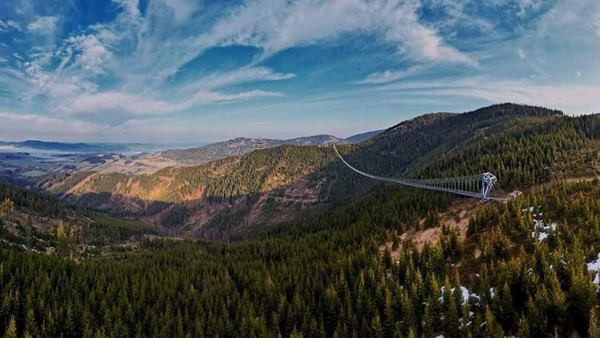 तस्वीरें हुईं वायरल