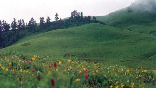 दयारा बुग्याल दयारा बुग्याल