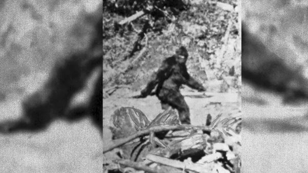 कई बार देखे गए हैं ये रहस्यमयी मानव कई बार देखे गए हैं ये रहस्यमयी मानव