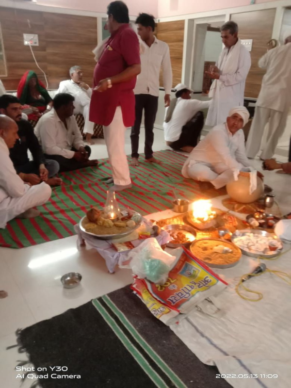 15 दिन बाद मादा हिरण का आवारा कुत्तों ने शिकार कर लिया