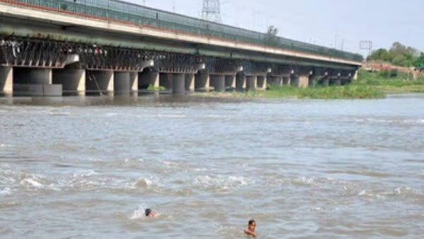 प्रेमिका से शादी न होने पर यमुना में कूदा 'सुल्तान'