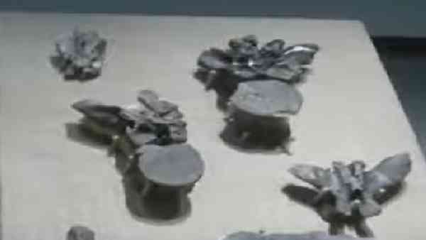 सबसे विशाल रैप्टर डायनासोर का जीवाश्म मिला