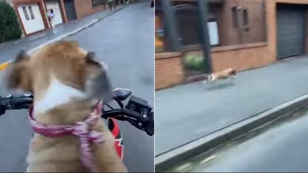 सोशल मीडिया पर वायरल हुआ वीडियो सोशल मीडिया पर वायरल हुआ वीडियो