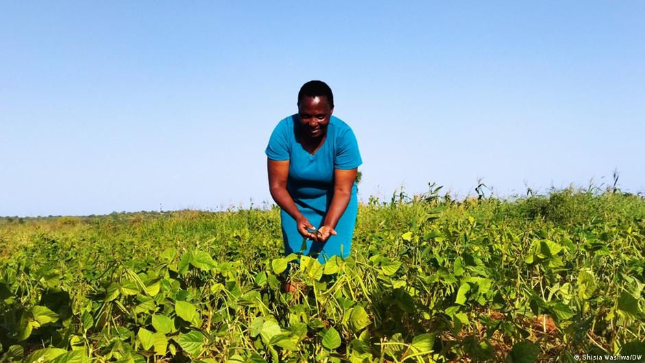 Provided by Deutsche Welle Provided by Deutsche Welle