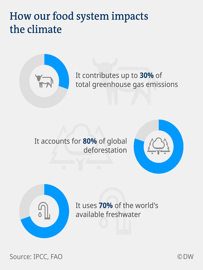 Provided by Deutsche Welle