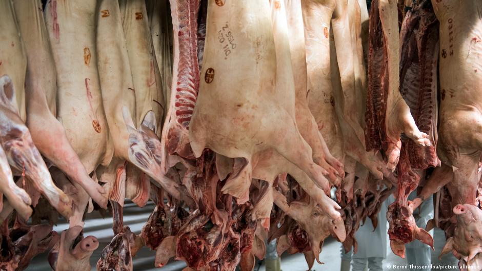 Provided by Deutsche Welle