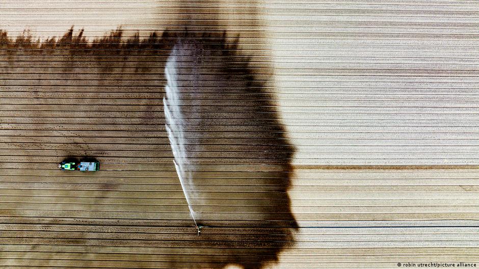 बेल्जियम और नीदरलैंड्स के लिए इस बार गर्मियां काफी सूखी हैं और किसानों को दिक्कत हो रही है बेल्जियम और नीदरलैंड्स के लिए इस बार गर्मियां काफी सूखी हैं और किसानों को दिक्कत हो रही है