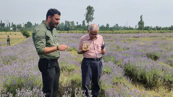 बदलते मौसम में भी सुरक्षित फसल