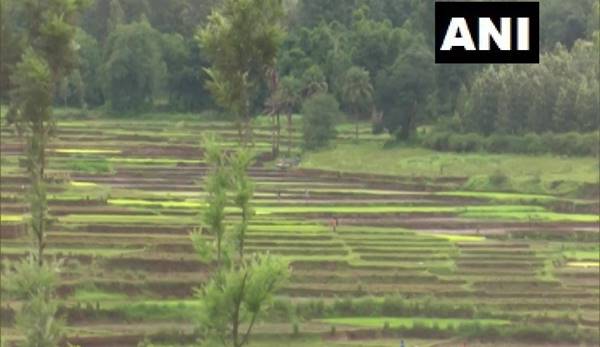 27 एकड़ जमीन पर अलग-अलग फसल