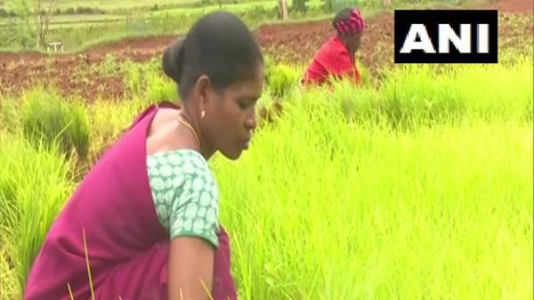  महिलाओं के साथ खेतों में काम