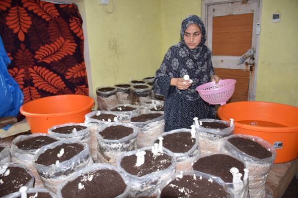 सालाना करीब 70,000 रुपये की आमदनी