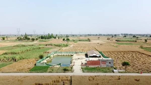 इंटीग्रेटेड फार्मिंग का सफल नमूना है संजीव का काम