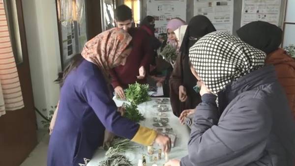 युवाओं को सुगंधित पौधों की खेती से जोड़ने की कोशिश