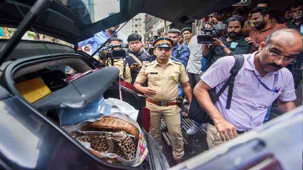 संयुक्त अरब अमीरात से निकाला जा चुका है सलीम फ्रूट