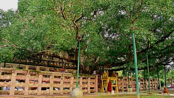 2. बोधगया