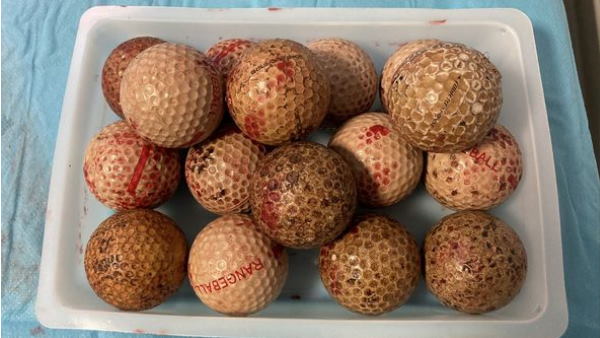 मालिक ने कहा- रिपोर्ट देखकर मेरे तो होश उड़ गए