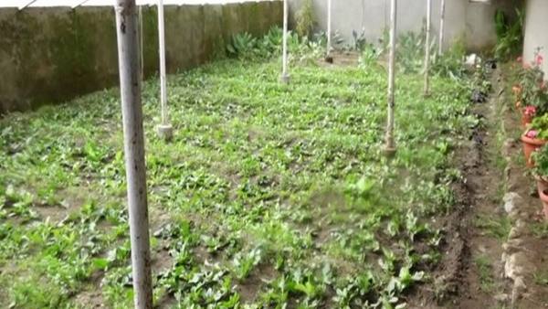 मिट्टी की सेहत में सुधार के लिए रासायनिक खाद