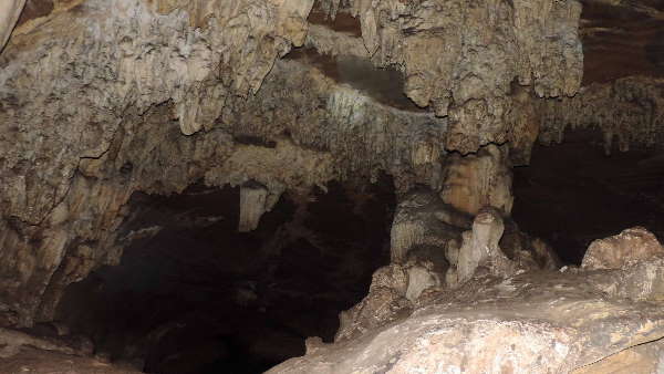  गुफा के अंदर है अनोखे जीवों की अलग दुनिया 