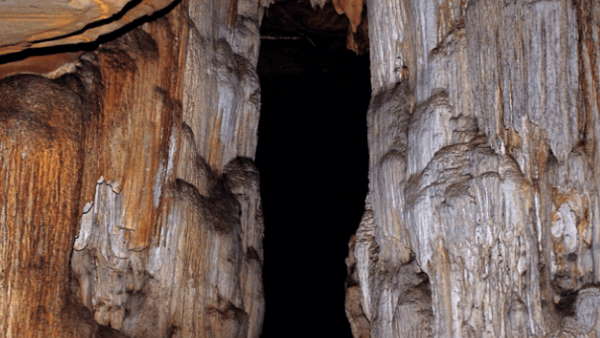 जल्द ही देख सकेंगे आम पर्यटक 