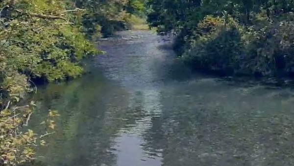 गुलरघाटी गुलरघाटी