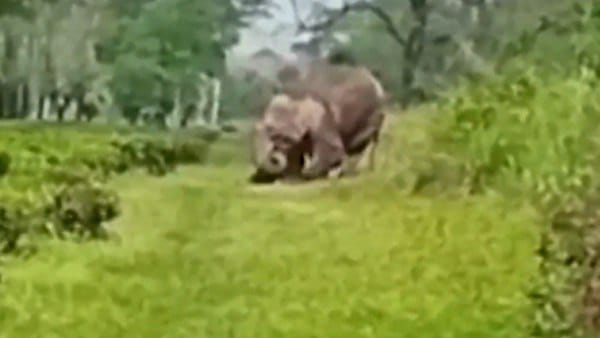 हत्या के कारणों का नहीं चला पता
