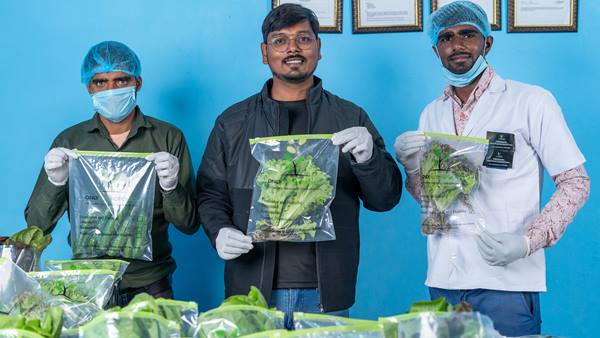 कौन सी बीज से होती है हाइड्रोपॉनिक फार्मिंग