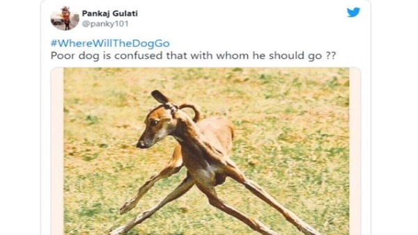 ट्विटर पर ट्रेंड हुआ #WhereWillTheDogGo ट्विटर पर ट्रेंड हुआ #WhereWillTheDogGo