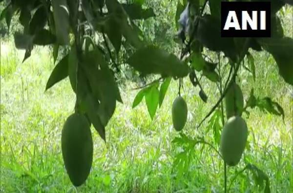 किसानों की स्थिति चिंताजनक