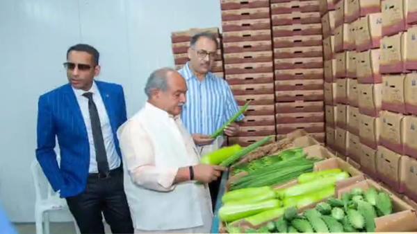 रेगिस्तान में सब्जियां, फल और सुपर फूड रेगिस्तान में सब्जियां, फल और सुपर फूड