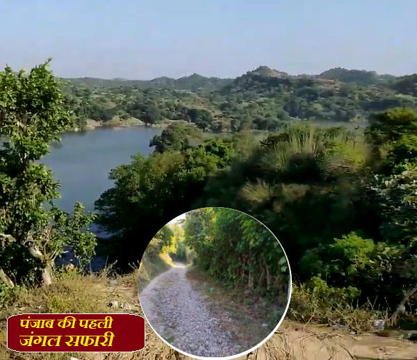 होशियारपुर में पंजाब की पहली जंगल सफारी 