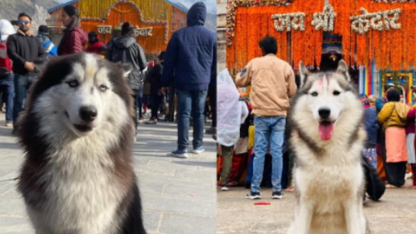 भैरव बाबा की रूप मानकर उसके पैर भी छुए भैरव बाबा की रूप मानकर उसके पैर भी छुए