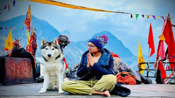 ये कोई सामान्य कुत्ता नहीं है इसके हैं 76 हजार फॉलोअर्स ये कोई सामान्य कुत्ता नहीं है इसके हैं 76 हजार फॉलोअर्स