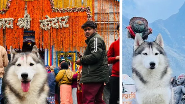 एफआईआर दर्ज करवा दी है एफआईआर दर्ज करवा दी है