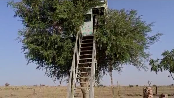 कोरोना काल के बाद कम हुए देखने वाले कोरोना काल के बाद कम हुए देखने वाले