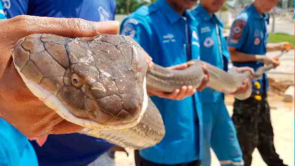 यूजर रेस्क्यू ऑपरेशन पर जता रहे हैं खुशी