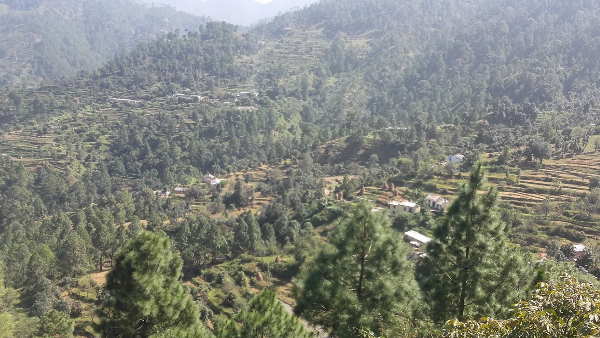 कौसानी कौसानी