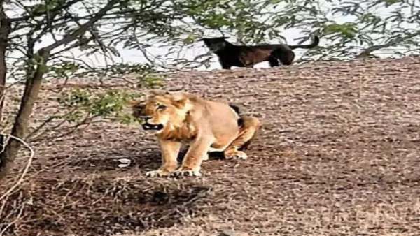 साथ चलते-साथ बैठते, पैरों के निशान भी मिले