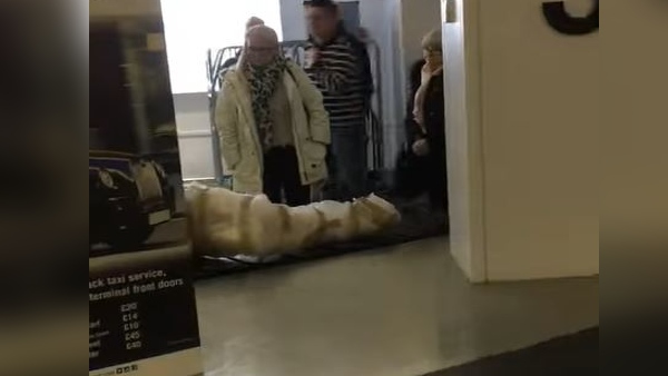 डेडबॉडी जैसे दिखने वाला Video वायरल