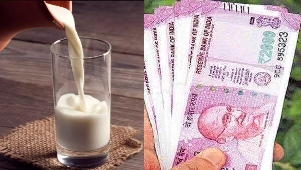 कॉफी के लिए दूध लेने गया था शख्स