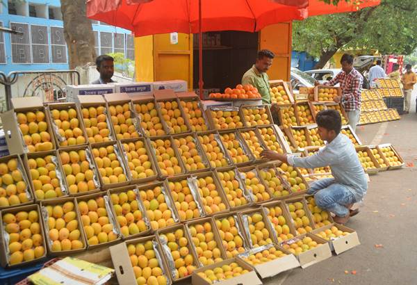 आम कई प्रकार के व्यंजनों में फिट आम कई प्रकार के व्यंजनों में फिट