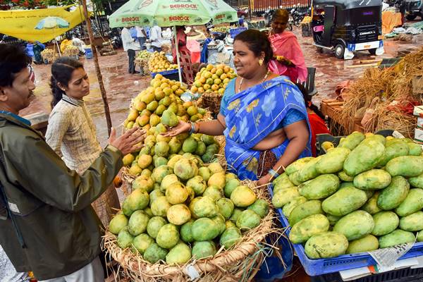 आम खाने से गर्भवती महिलाओं को फायदे आम खाने से गर्भवती महिलाओं को फायदे