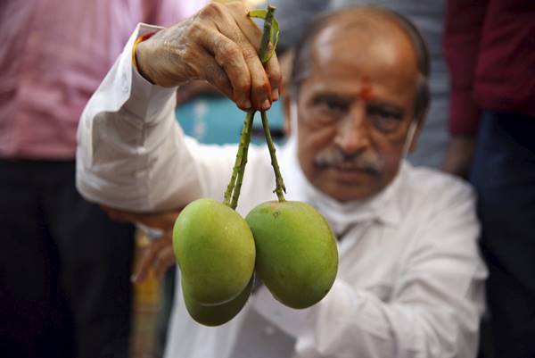 आमों का सेवन स्नैक्स के रूप में 