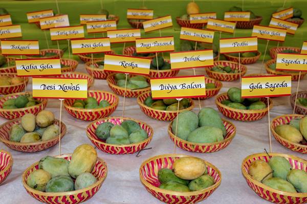 12 सप्ताह तक नाश्ते में आम