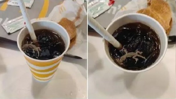 अगले आदेश तक रेस्टोरेंट रहेगा सील